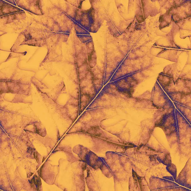 seamless pattern of autumn leaves in yellow, brown and purple