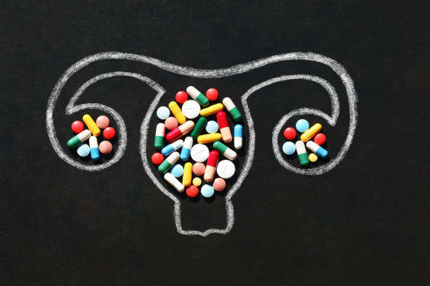 útero con ovarios - hormone therapy hrt pill medicine fotografías e imágenes de stock