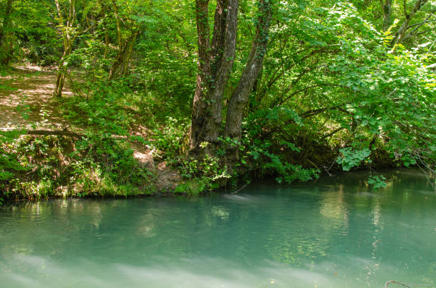 istock beautiful mountain river in the Crimea 1169320647