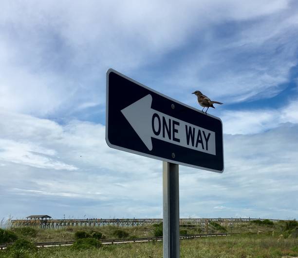 uccello a senso unico - one way street sign foto e immagini stock