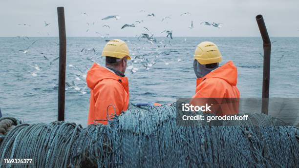 Crew Of Fishermen Work On Commercial Fishing Ship That Pulls Trawl Net Stock Photo - Download Image Now