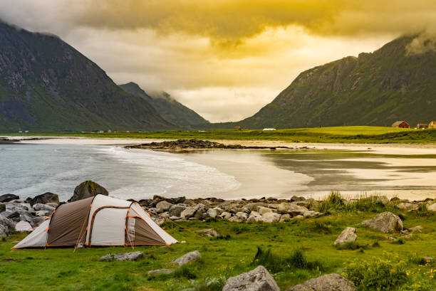 istock Tent on sea shore, Lofoten Norway 1169332257