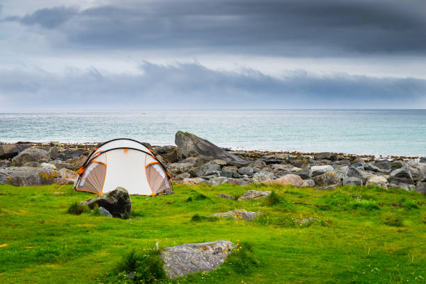 istock Tent on sea shore, Lofoten Norway 1169332318