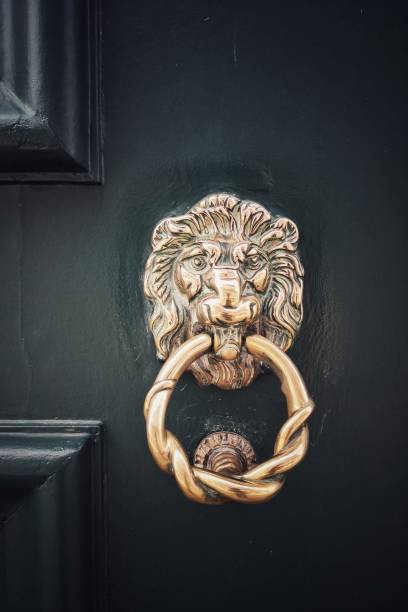 istock Lion head metal door knocker 1169332416