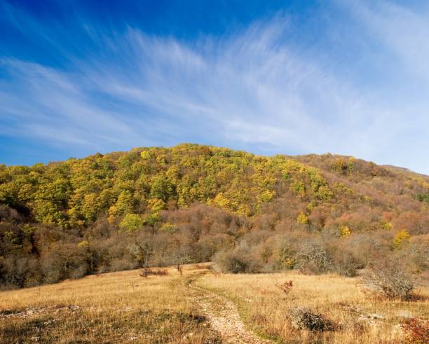 istock autumn in the mountains 1169332778