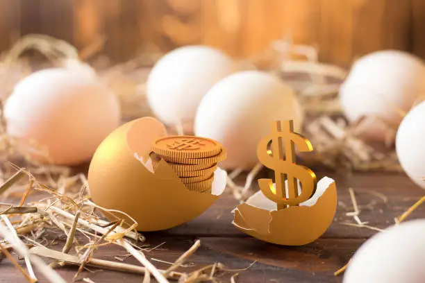 Photo of invest in gold egg