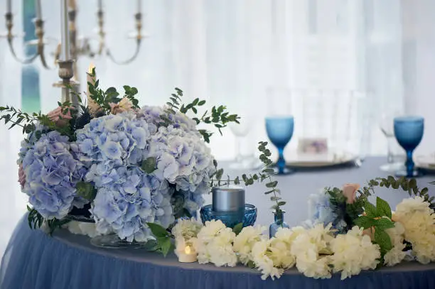 Wedding decoration of the Banquet hall for the wedding in blue. Hydrangea.Blue glasses