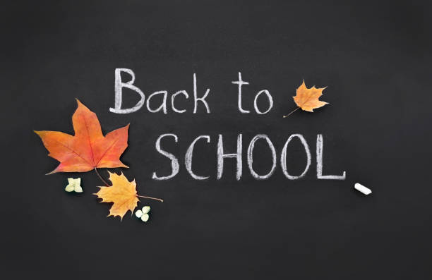 istock Back to school, template, handwritten in chalk, text on a black board, collage 1169337190