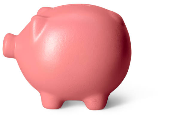 istock piggy bank isolated on white background 1169341175