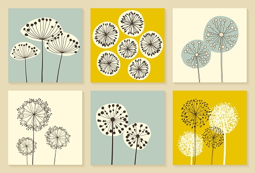 Set of Vintage Dandalions illustrations. Floral Elements for design, dandelions collection. - Vector