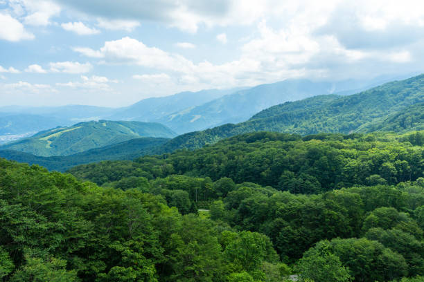 istock Northern alps at Hakuba Happo. 1169344669