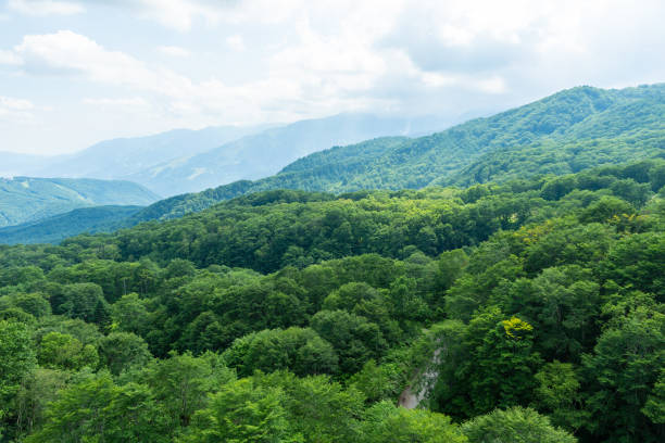 istock Northern alps at Hakuba Happo. 1169344678
