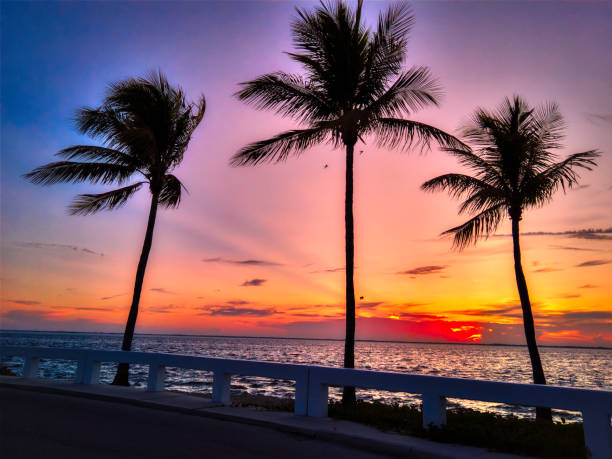 istock Captiva Island Sunrise 1169350695