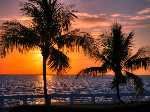 istock Captiva Island Sunrise 1169350840
