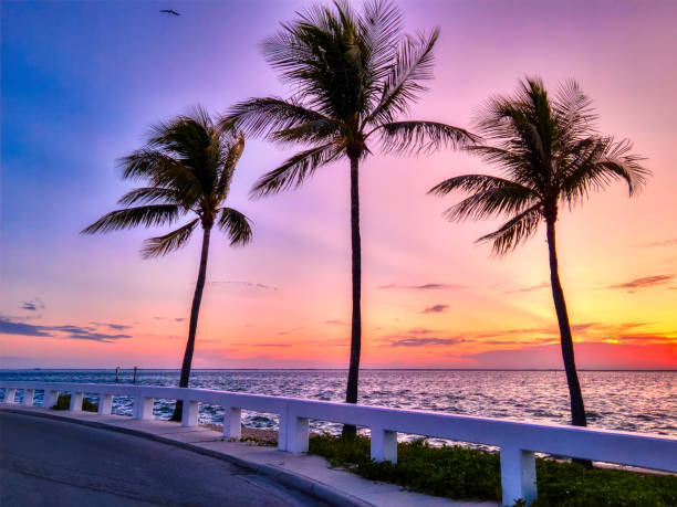 istock Captiva Island Sunrise 1169350849