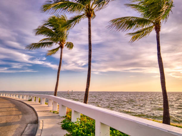 istock Captiva Island Sunrise 1169350857
