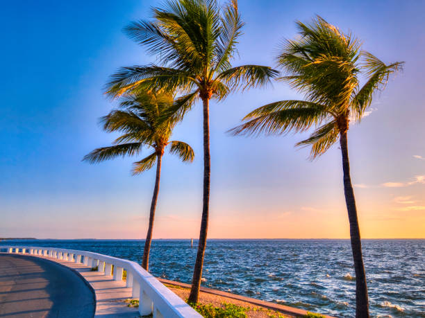 istock Captiva Island Sunrise 1169350858