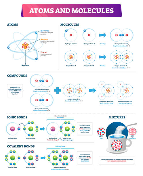 illustrations, cliparts, dessins animés et icônes de illustration vectorielle d'atomes et de molécules. diagramme de liaisons de composés étiquetés. - neutron