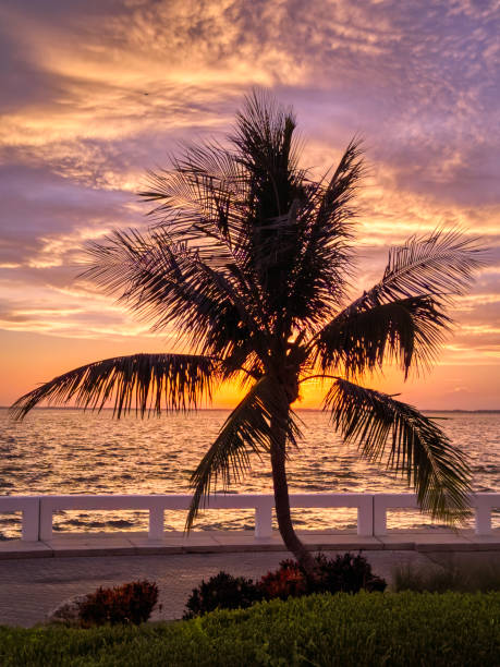 istock Captiva Island Sunrise 1169350946