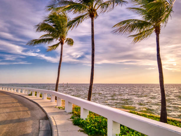 istock Captiva Island Sunrise 1169350955