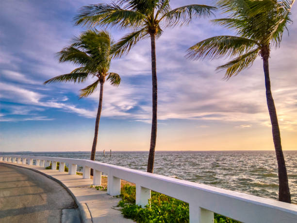istock Captiva Island Sunrise 1169350956