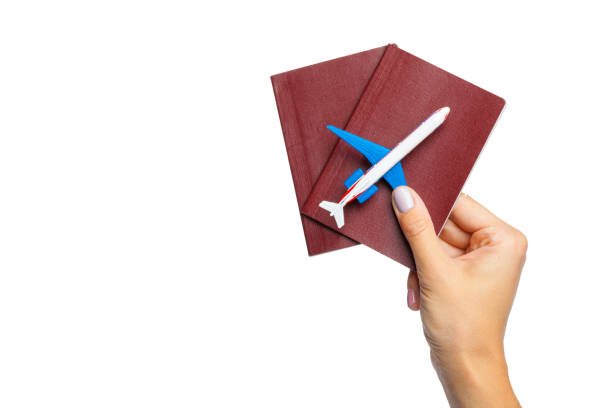 istock Hand holding passport isolated on white 1169352192
