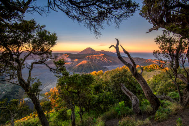 istock Sunrise at penajakan 1 Bromo 1169352420
