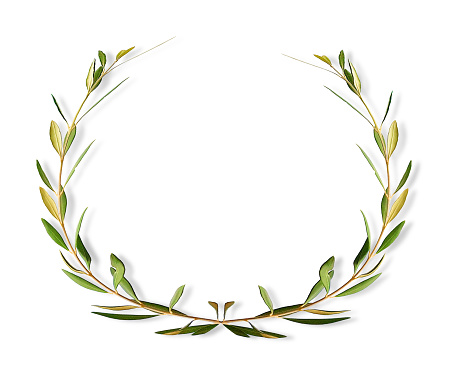 wreath  ovlie trees  leaf  branch  isolated for background