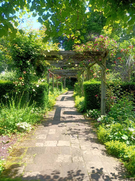 istock Wood arch in beautiful garden 1169358381