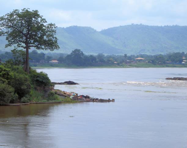 ceiba / kapok baum und der fluss oubangui, zentralafrikanische republik - bangui stock-fotos und bilder