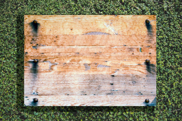 istock Wood old planks sign 1169358881