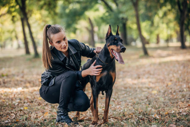 istock Lady with her dog in park 1169358947
