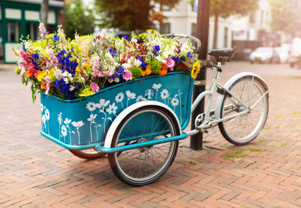 cargobike mit blumen, holland, europa - lastenrad stock-fotos und bilder