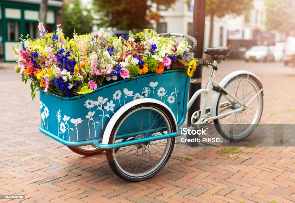 Cargo bike with flowers, Holland, Europe Flower Stock Photo
