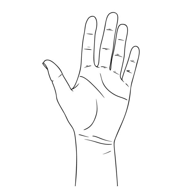 Sketch of counting hand isolated on white background. Open palm showing number five. Vector illustration Sketch of counting hand isolated on white background. Open palm showing number five. Vector illustration open hand stock illustrations