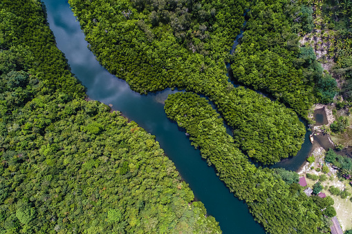 Aerial view of the wetland of the Everglades National Park in Florida