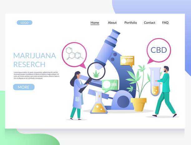 ilustrações de stock, clip art, desenhos animados e ícones de marijuana research vector website landing page design template - medical marijuana