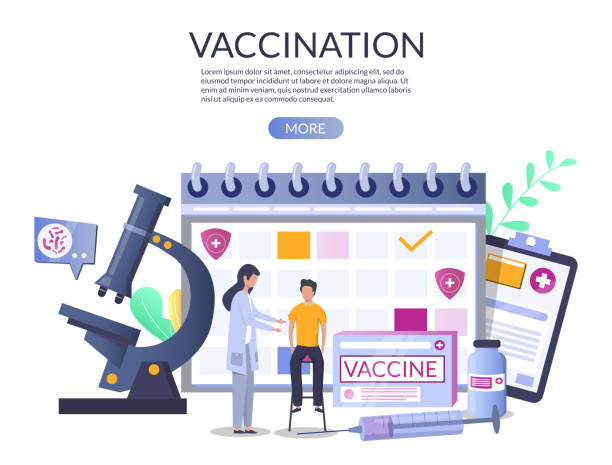 Vaccination web banner design template, vector illustration Vaccination web banner template, vector illustration. Huge calendar, microscope, vaccine, syringe and tiny characters doctor, patient. Medicine and health care concept for web banner, website page etc flu shot calendar stock illustrations