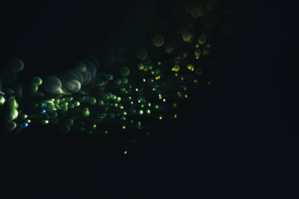 istock Beautiful abstact color bokeh shine on a dark background. 1169362414
