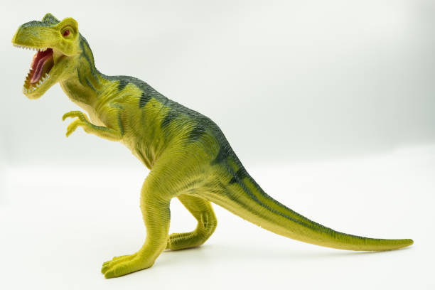istock Tyrannosaurus rex plastic toy on white background. 1169363208