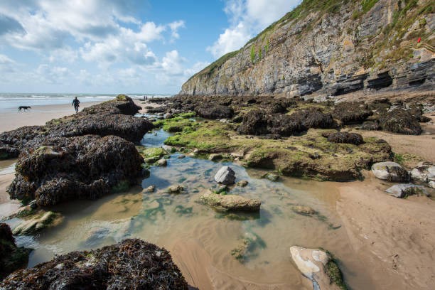 Pendine Sands a 7 mile length of beach on the shores of Carmarthen Bay Wales UK Europe