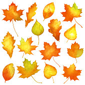 Vector set of watercolor autumn leaves