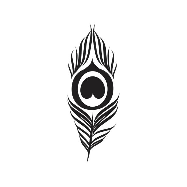 ilustraciones, imágenes clip art, dibujos animados e iconos de stock de hermosos gráficos de plumas de pavo real en color blanco y negro - feather peacock ornate vector