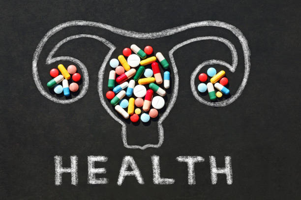 istock uterus with ovaries health 1169375678