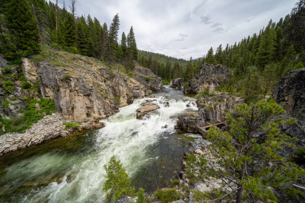 istock Dagger Falls waterfall in Idaho in the Salmon-Challis National Forest 1169376647