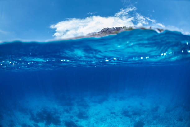 istock clear water turquoise sea with clear sky 1169378792
