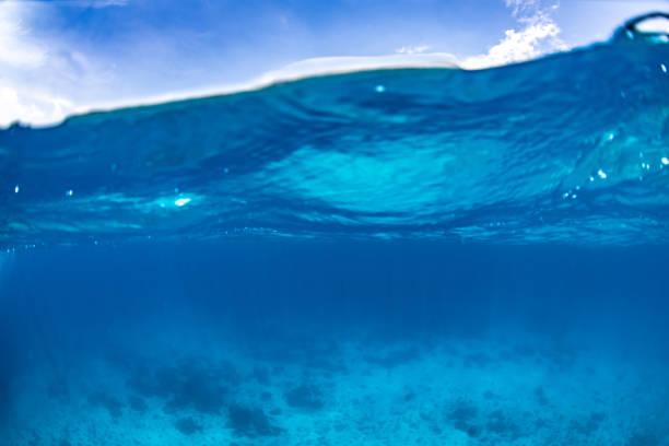 istock clear water turquoise sea with clear sky 1169379376