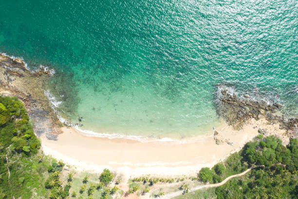 istock top view. Summer and travel vacation concept. 1169381599