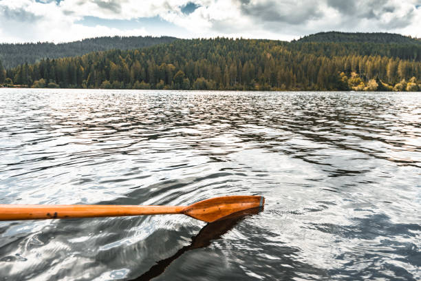 istock rowing in the lake 1169382680