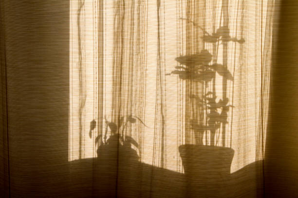 istock Shadow through the curtains on the windows 1169383543